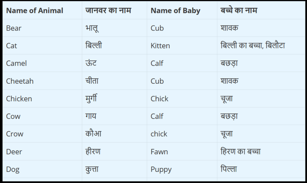Animals and their young ones – जानवरों के बच्चों के नाम